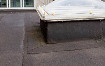 disadvantages of Treworthal flat roofs